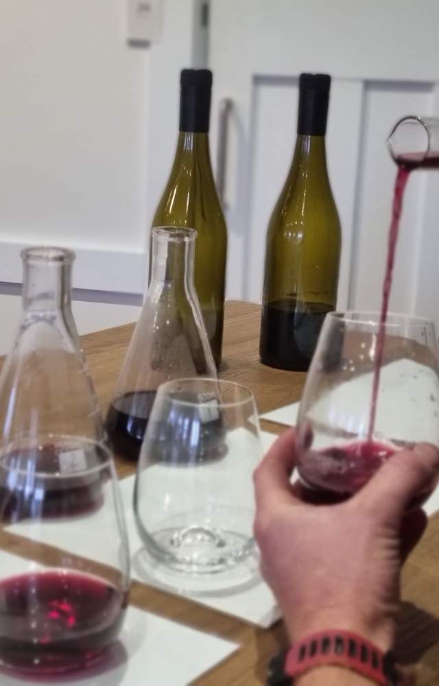 Blending 20230608 152005