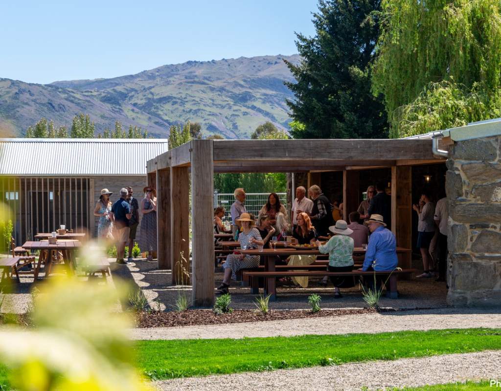 Cellar Door