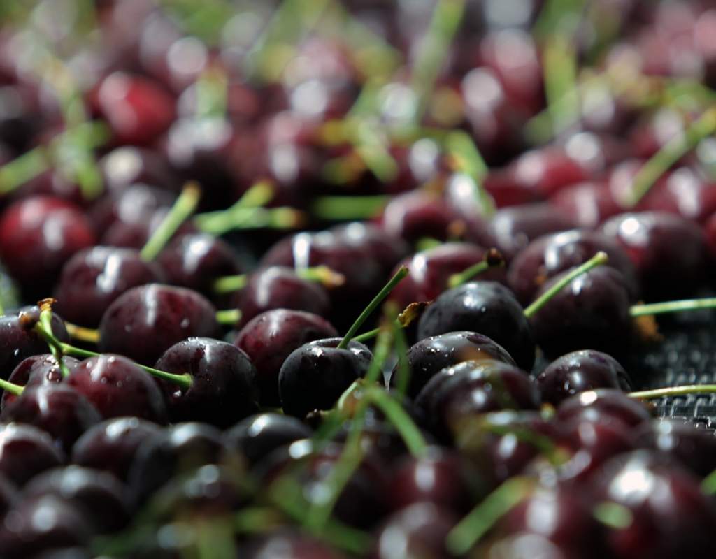 Cherries 3