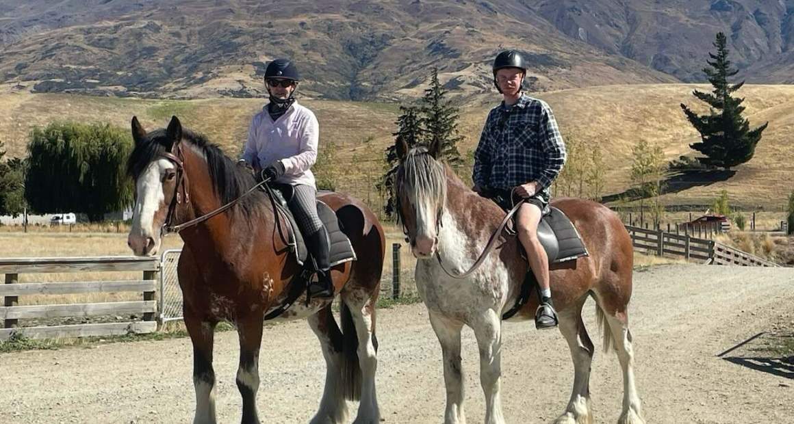 Clydesdales ridden