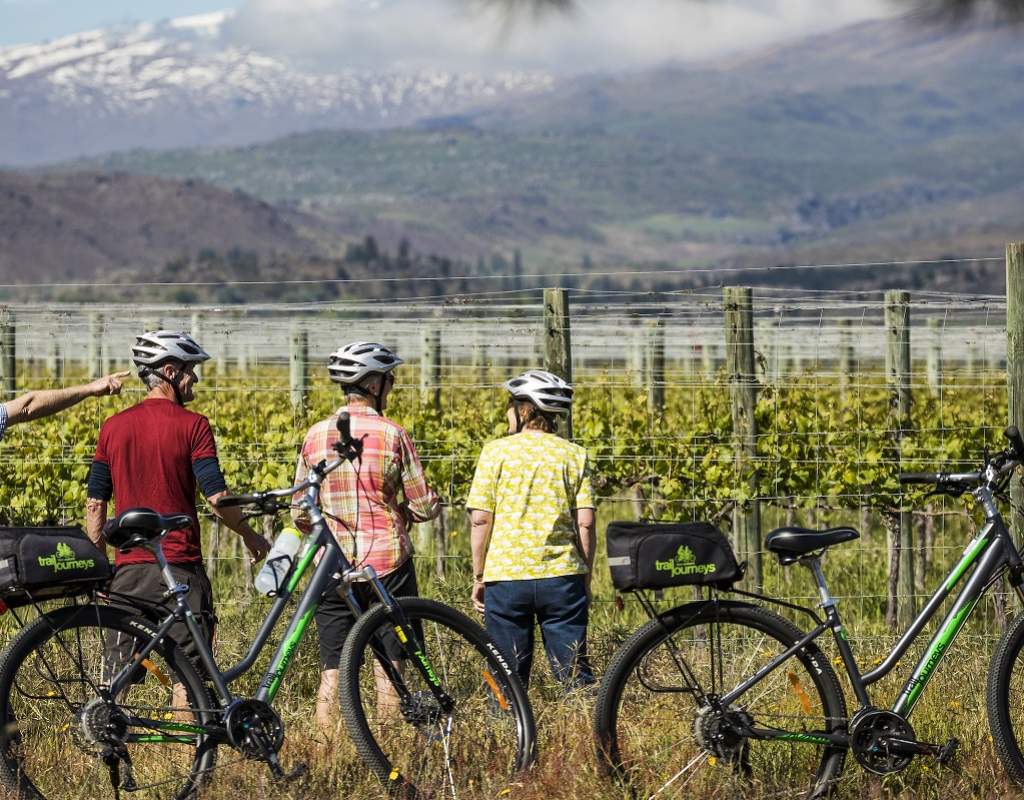 Cycle by wineries resized