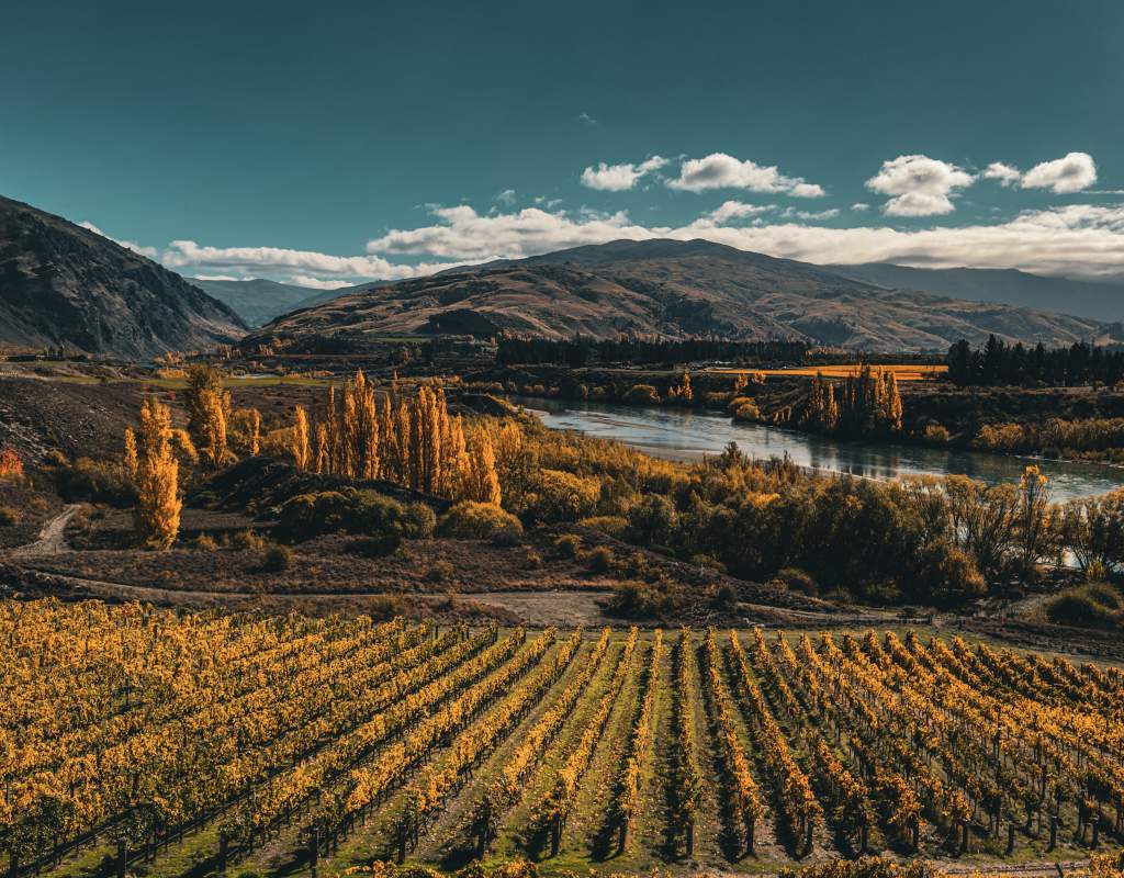 Latitude 45 Ultimate Experience Central Otago