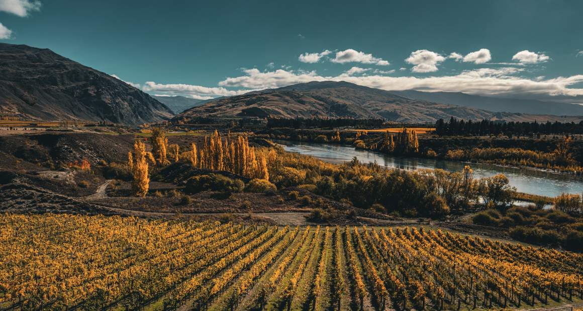 Latitude 45 Ultimate Experience Central Otago