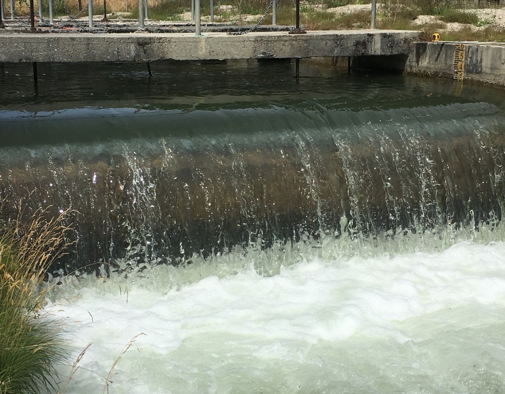 Omakau Irrigation Base Banner