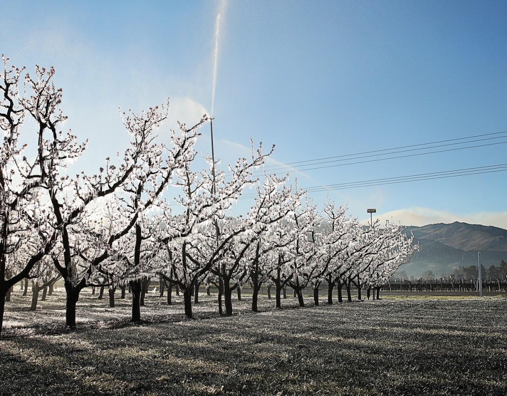 Spring Orchard Frost Fighting