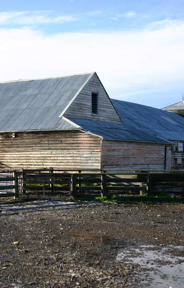 Woolshed