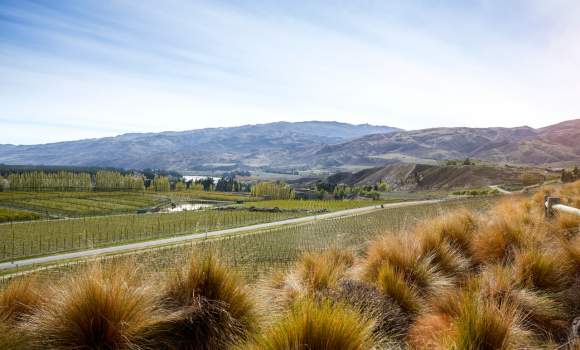 5461 Mt Difficulty Central Otago Matt Crawford