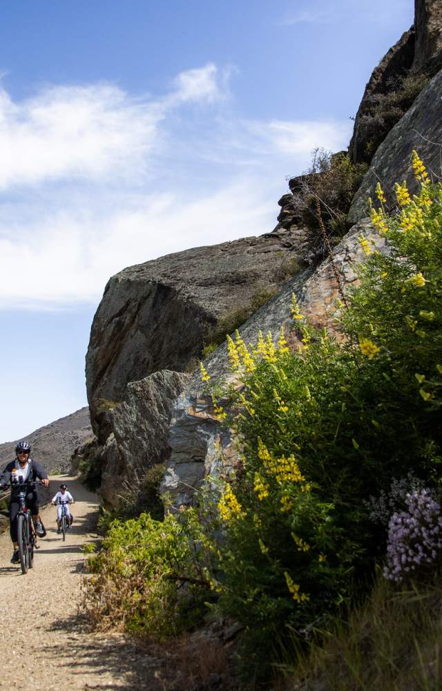 Cycle Story Image 6