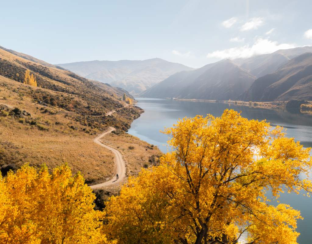 Lake Dunstan Trail in Autumn Credit Will Nelson